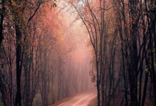 杠杆资产:最新配资官网-中东地缘局势缓和 大宗商品接下来如何走？